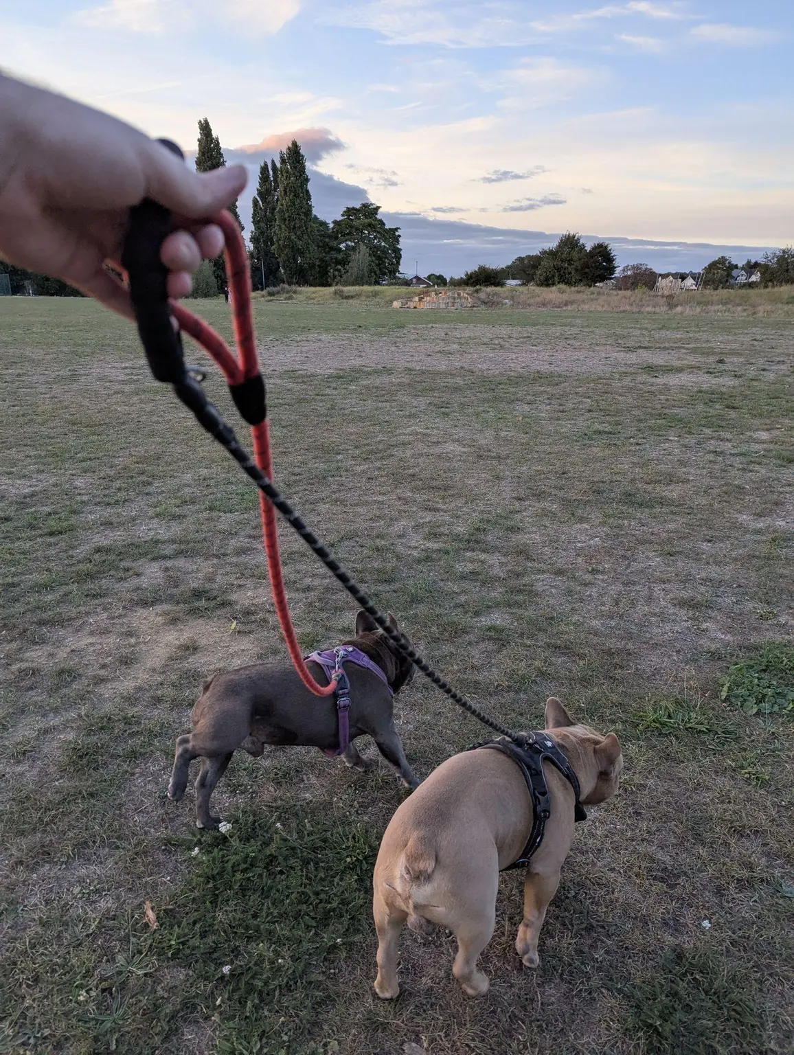Two best friends at sunset